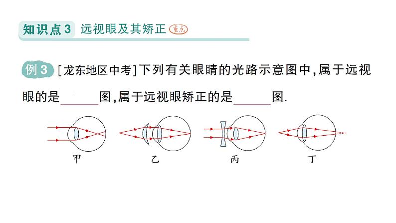 初中物理新人教版八年级上册第五章第四节 眼睛和眼镜作业课件2024秋第7页