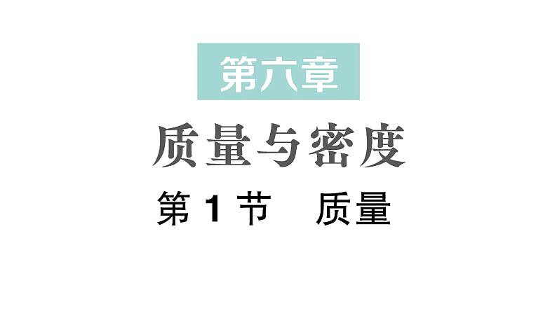 初中物理新人教版八年级上册第六章第一节 质量作业课件2024秋第1页