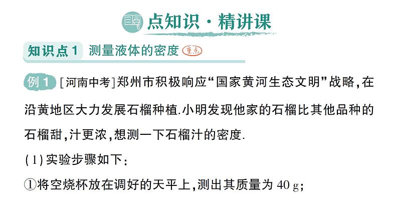 初中物理新人教版八年级上册第六章第三节 测量液体和固体的密度作业课件2024秋第2页