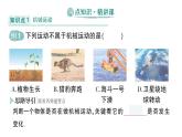 初中物理新人教版八年級上冊第一章第二節(jié) 運動的描述作業(yè)課件2024秋