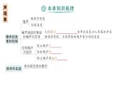 初中物理新人教版八年級(jí)上冊(cè)第二章 聲現(xiàn)象復(fù)習(xí)提升作業(yè)課件2024秋