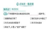 初中物理新人教版八年级上册第三章第二节 熔化和凝固作业课件2024秋