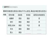 初中物理新人教版八年级上册第三章第二节 熔化和凝固作业课件2024秋