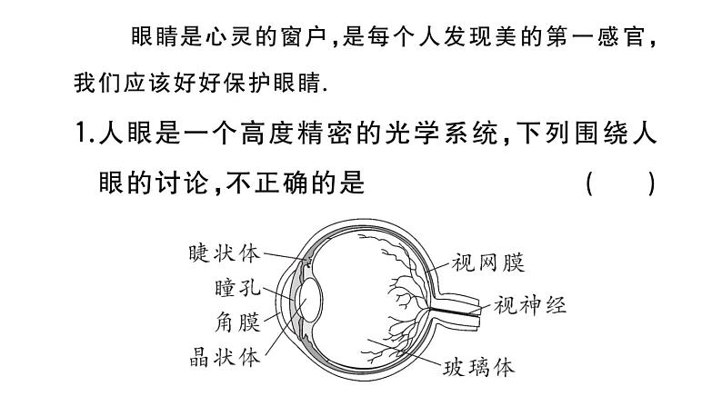 初中物理新人教版八年级上册大单元综合(二) 光学综合作业课件2024秋季第2页