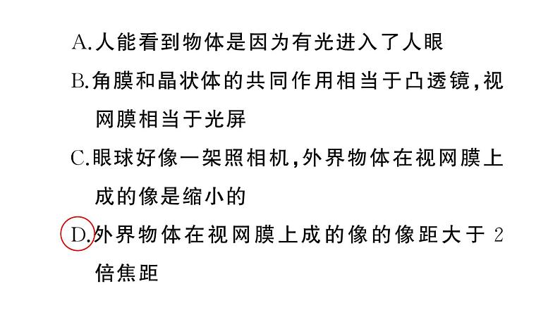 初中物理新人教版八年级上册大单元综合(二) 光学综合作业课件2024秋季第3页