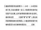 初中物理新人教版八年級(jí)上冊(cè)大單元綜合(二) 光學(xué)綜合作業(yè)課件2024秋季