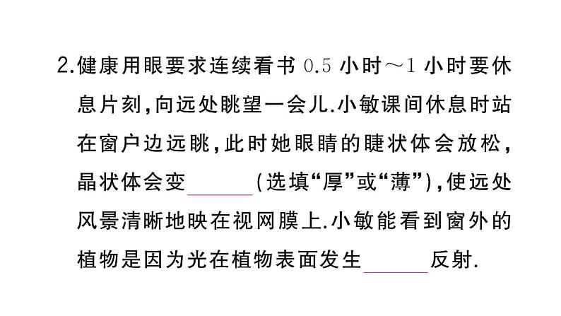 初中物理新人教版八年级上册大单元综合(二) 光学综合作业课件2024秋季第4页