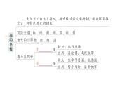 初中物理新人教版八年级上册第四章 光现象复习提升作业课件2024秋