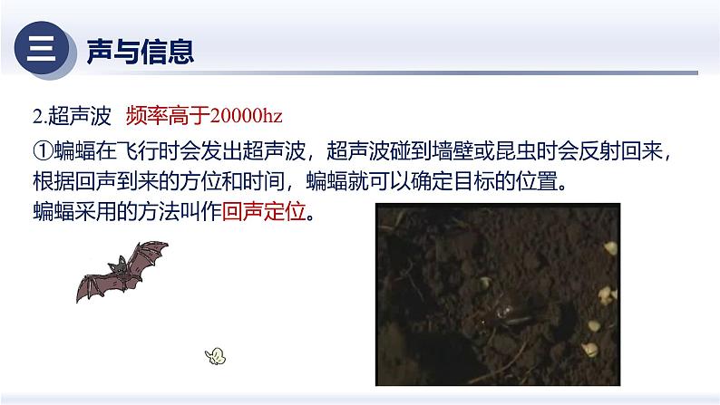 2.3声的利用（课件）人教版2024八年级物理上册课件+练习 2023-2024学年人教版八年级物理上册课件ppt+同步分层练习第7页