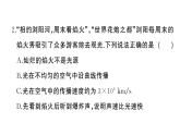 初中物理新人教版八年级上册第四章 光现象综合训练作业课件2024秋季