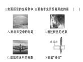 初中物理新人教版八年级上册第四章 光现象综合训练作业课件2024秋季