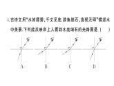 初中物理新人教版八年级上册第四章 光现象综合训练作业课件2024秋季