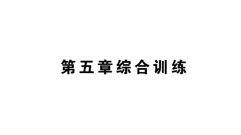 初中物理新人教版八年级上册第五章 透镜及其应用作业课件2024秋季第1页