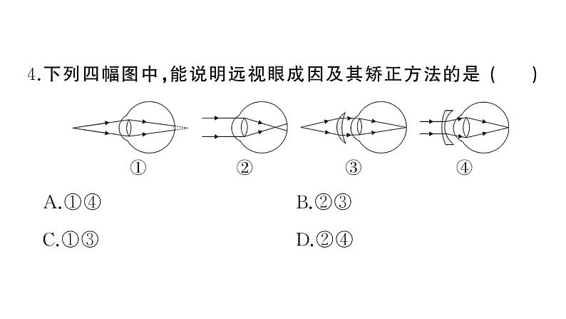 初中物理新人教版八年级上册第五章 透镜及其应用作业课件2024秋季第5页