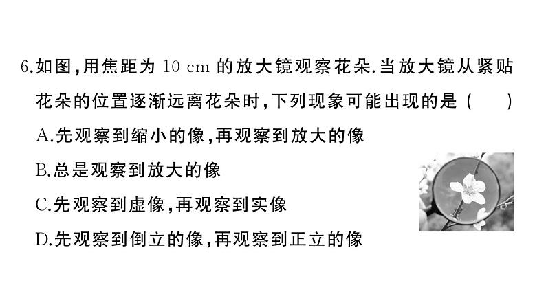 初中物理新人教版八年级上册第五章 透镜及其应用作业课件2024秋季第7页