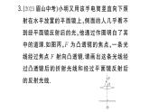 初中物理新人教版八年級(jí)上冊(cè)第五章專題九 透鏡作圖作業(yè)課件2024秋季