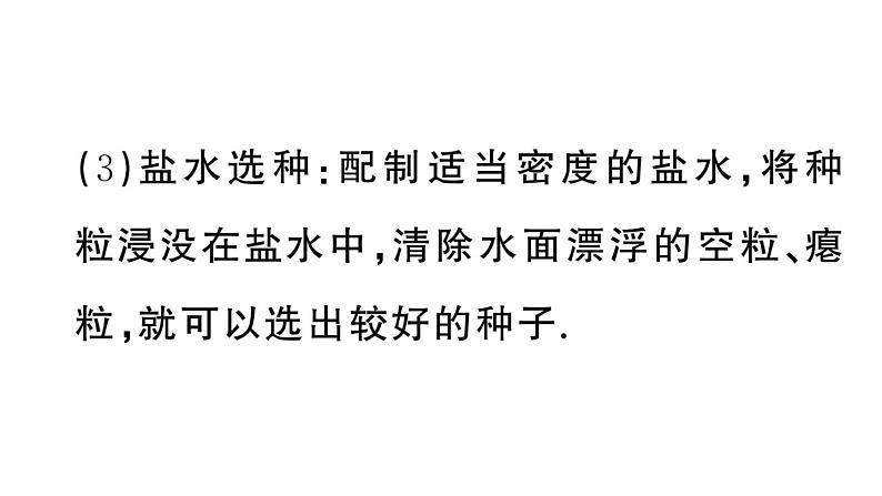 初中物理新人教版八年级上册第六章第四节 密度的应用课堂作业课件2024秋季第7页