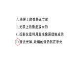 初中物理新人教版八年級(jí)上冊(cè)第五章專題七 凸透鏡成像規(guī)律的綜合應(yīng)用作業(yè)課件2024秋季