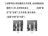 初中物理新人教版八年級(jí)上冊(cè)第五章專題八 常見光學(xué)儀器的成像原理及調(diào)節(jié)作業(yè)課件2024秋季