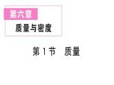初中物理新人教版八年级上册第六章第一节 质量作业课件2024秋季