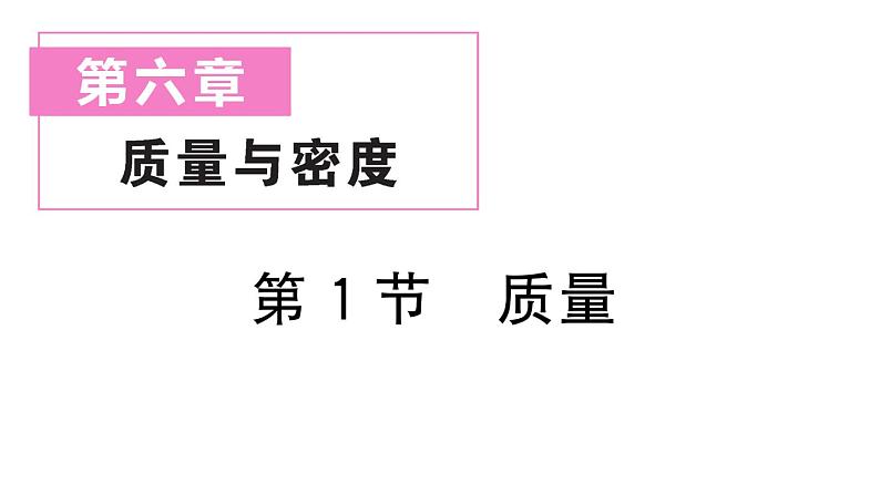 初中物理新人教版八年级上册第六章第一节 质量作业课件2024秋季第1页