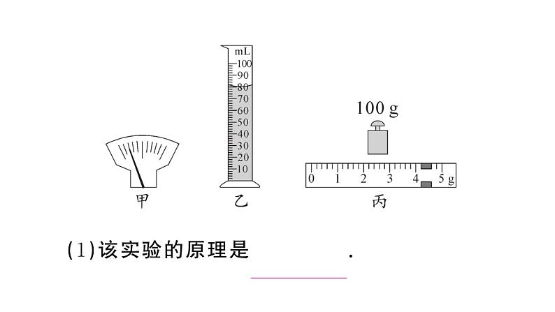 初中物理新人教版八年级上册第六章第三节 测量液体和固体的密度作业课件2024秋季第5页