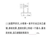 初中物理新人教版八年级上册第五章重点实验突破 （一题练透一实验）作业课件2024秋季