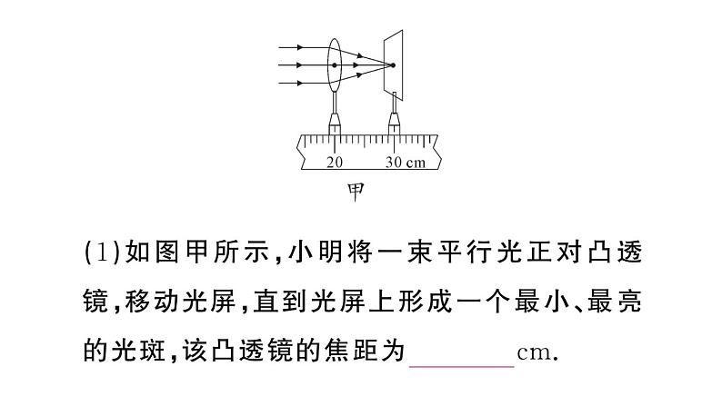 初中物理新人教版八年级上册第五章重点实验突破 （一题练透一实验）作业课件2024秋季第5页