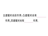 初中物理新人教版八年级上册第五章第一节 透镜课堂作业课件2024秋季