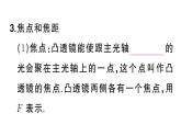 初中物理新人教版八年级上册第五章第一节 透镜课堂作业课件2024秋季