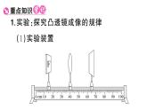 初中物理新人教版八年级上册第五章第三节 凸透镜成像的规律课堂作业课件2024秋季