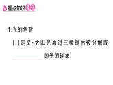初中物理新人教版八年級上冊第四章第五節(jié) 光的色散課堂作業(yè)課件2024秋季