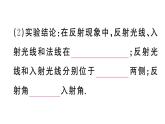 初中物理新人教版八年级上册第四章第二节 光的反射课堂作业课件2024秋季