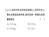 初中物理新人教版八年級(jí)上冊(cè)第六章中考新考向 跨學(xué)科實(shí)踐題作業(yè)課件2024秋季