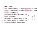初中物理新人教版八年级上册第五章实验考点高分突破（理解读记）课堂作业课件2024秋季