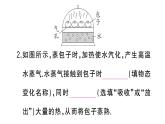初中物理新人教版八年级上册第三章第五节 跨学科实践探索厨房中的物态变化问题作业课件2024秋季