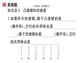 初中物理新人教版八年级上册第五章第一节 透镜作业课件2024秋季