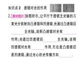 初中物理新人教版八年级上册第五章第一节 透镜作业课件2024秋季