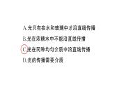 初中物理新人教版八年級(jí)上冊(cè)第四章第一節(jié) 光的直線傳播作業(yè)課件2024秋季