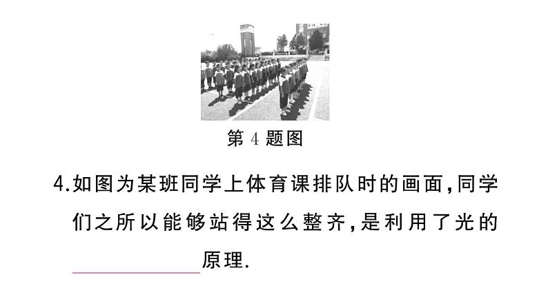 初中物理新人教版八年级上册第四章第一节 光的直线传播作业课件2024秋季第7页