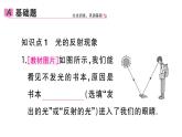 初中物理新人教版八年级上册第四章第二节 光的反射作业课件2024秋季
