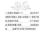 初中物理新人教版八年级上册第四章第二节 光的反射作业课件2024秋季