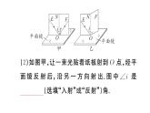 初中物理新人教版八年级上册第四章第二节 光的反射作业课件2024秋季