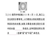 初中物理新人教版八年級上冊第四章第五節(jié) 光的色散作業(yè)課件2024秋季