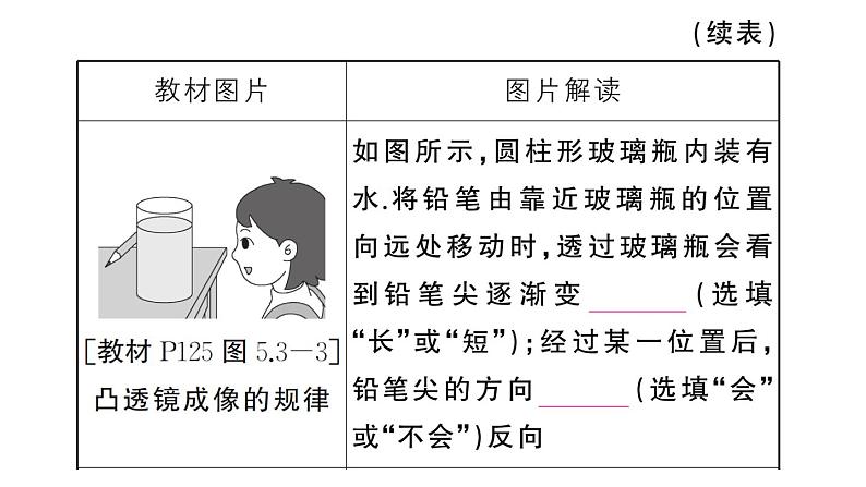 初中物理新人教版八年级上册第五章 透镜及其应用复习训练作业课件2024秋季第6页