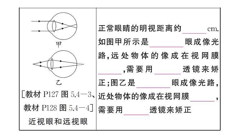 初中物理新人教版八年级上册第五章 透镜及其应用复习训练作业课件2024秋季第7页