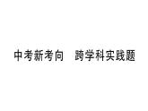初中物理新人教版八年級(jí)上冊(cè)第二章中考新考向 跨學(xué)科實(shí)踐題作業(yè)課件2024秋季