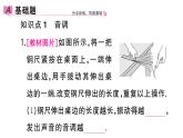 初中物理新人教版八年級上冊第二章第二節(jié) 聲音的特性作業(yè)課件2024秋季