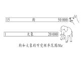 初中物理新人教版八年級上冊第二章第二節(jié) 聲音的特性作業(yè)課件2024秋季