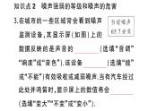 初中物理新人教版八年級上冊第二章第四節(jié) 噪聲的危害和控制作業(yè)課件2024秋季